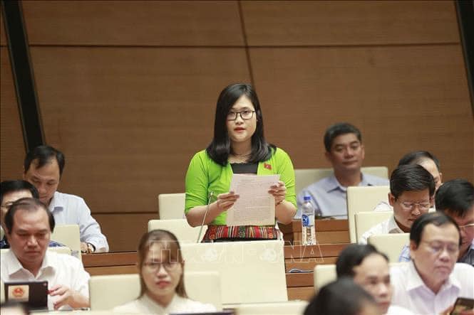 Đại biểu Quốc hội Hà Ánh Phượng (Phú Thọ) kiến nghị miễn học phí và tiền ăn trưa cho học sinh mầm non vùng khó khăn