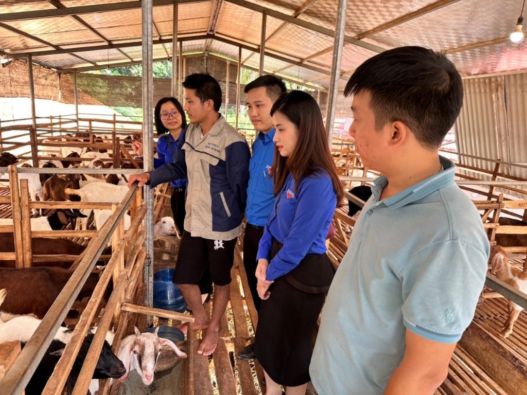 Tuổi Trẻ Phú Thọ Sáng Tạo và Khởi Nghiệp Xanh